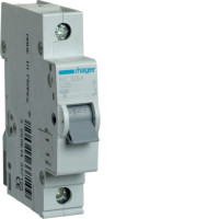 Hager 1P 6kA C-25A 1M Circuit Breaker, MCN125