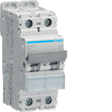 Hager 2P 25kA C-20A 2M Circuit Breaker, NRN220