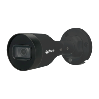 DH-IPC-HFW1230S1-BE 2MP (2.8mm) IP video camera Dahua