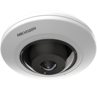 DS-2CD2955G0-ISU 5MP (1.05mm) Fisheye IP camera Hikvision