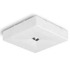Светильник аварийный ONTEC R M1 60 NM ST/W 1h IP20 (1 режим)